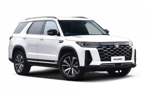 Volkswagen Solaris Stepway