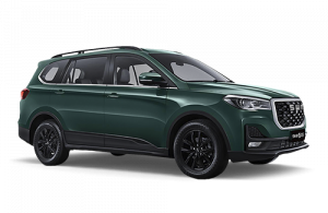 Volkswagen Solaris Stepway