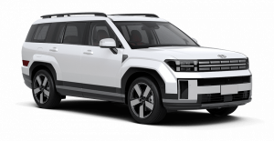 Volkswagen Solaris Stepway